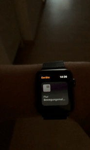 Test des Motion Sensors mit meiner Apple Watch in HomeKit App